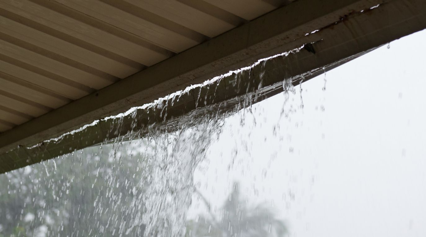 Why Are My Gutters Dripping Storables