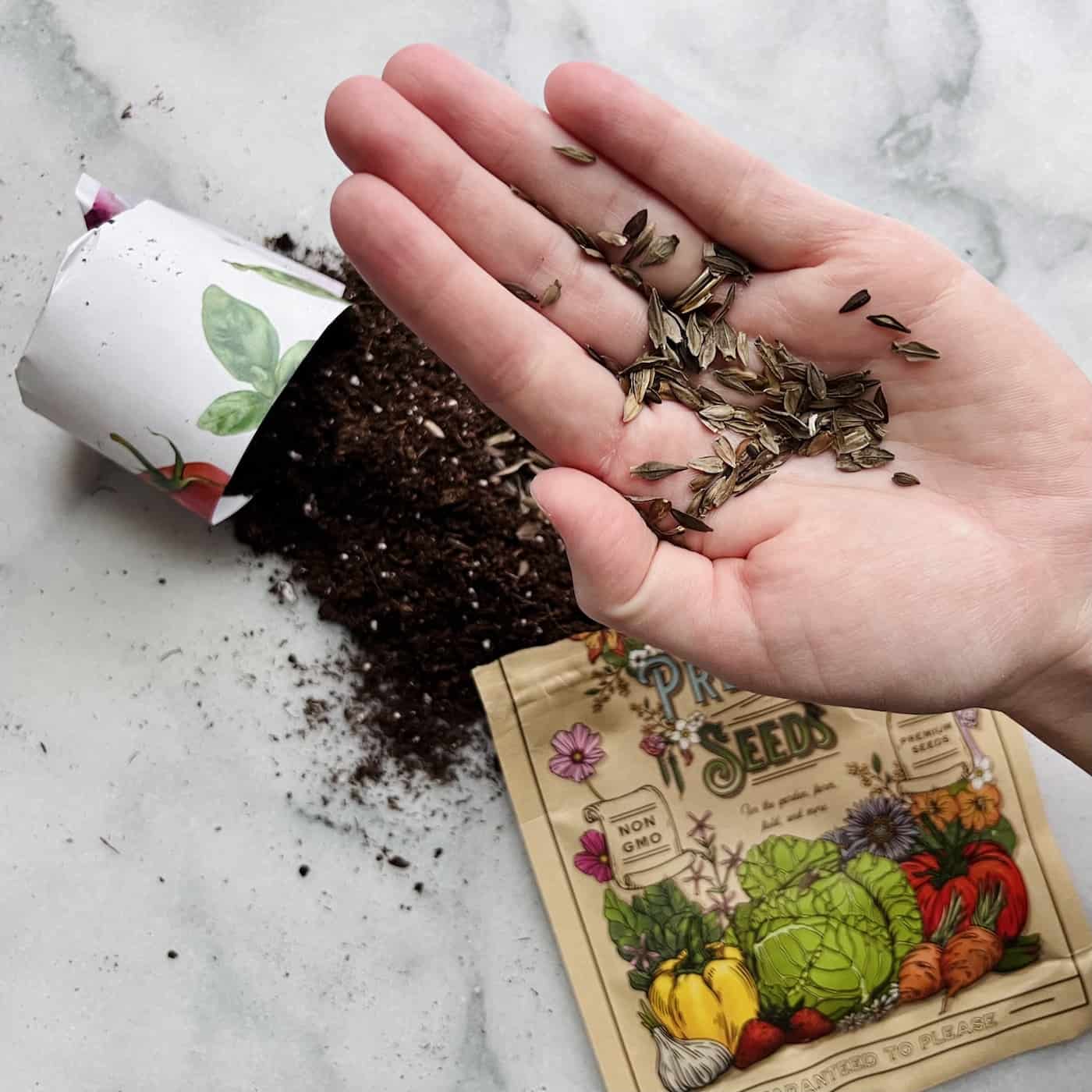How To Store Flower Seeds Storables