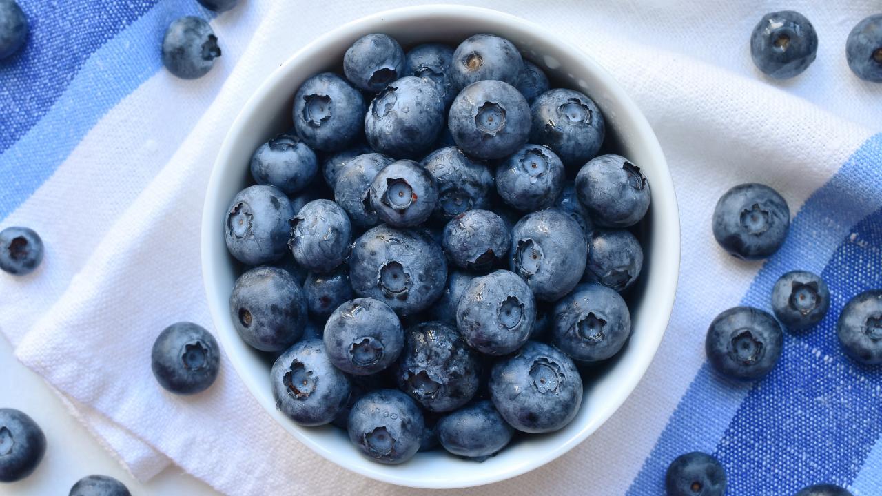 How To Store Freshly Picked Blueberries Storables