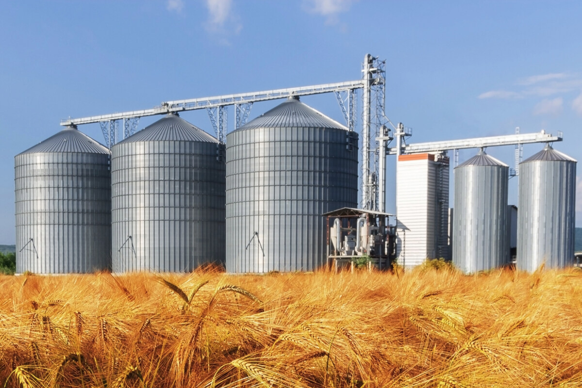 How To Store Grain Storables