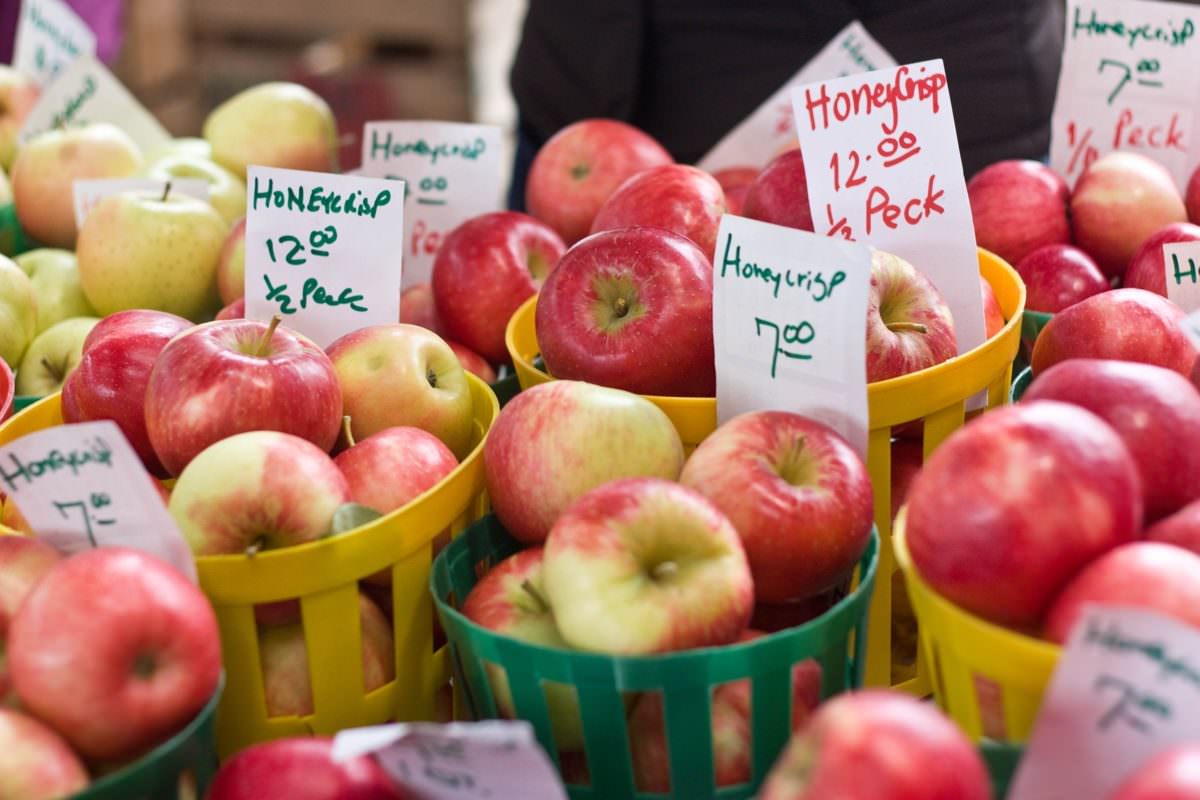 How To Store Honeycrisp Apples Storables