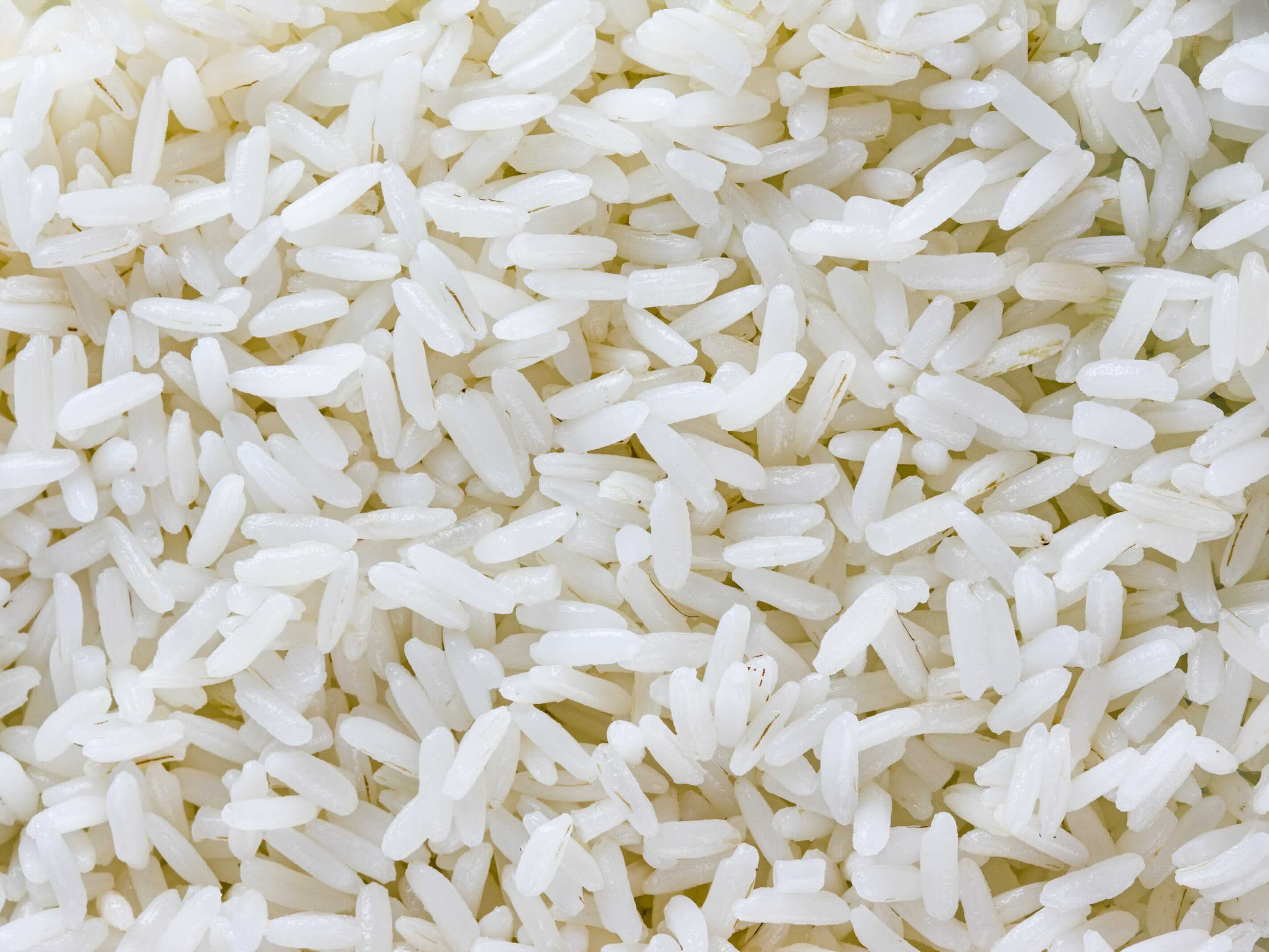 How To Store Rice For A Long Time Storables