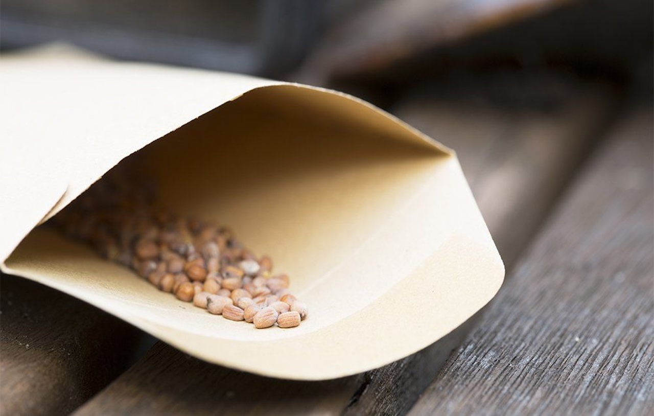 How To Store Seeds Properly Storables