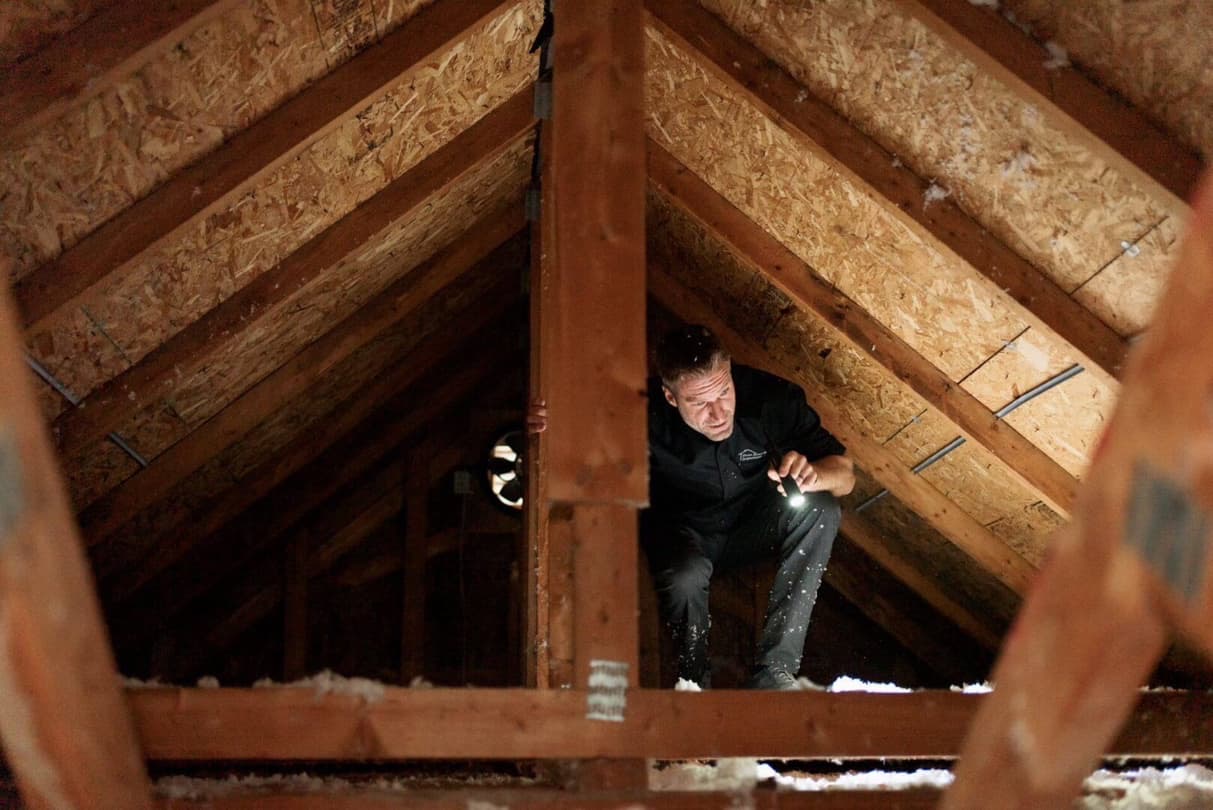 Who Can Inspect My Attic Storables