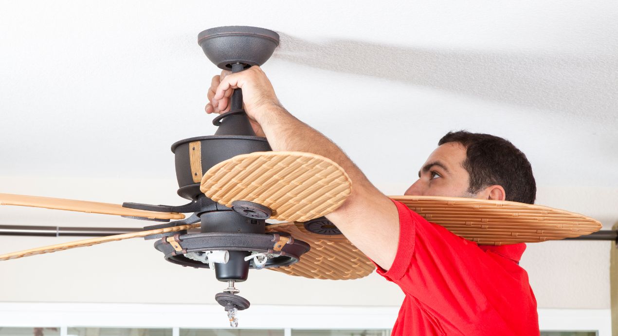 Why Do Ceiling Fans Go In Reverse Storables