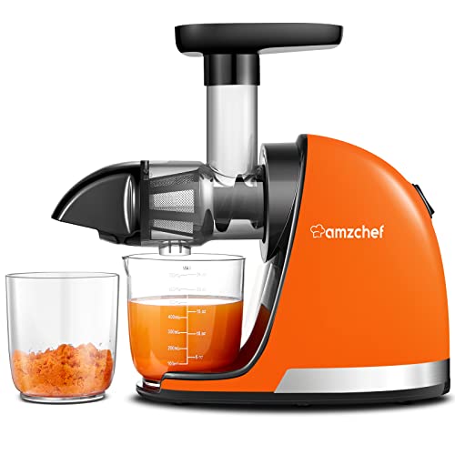 11 Best Champion Juicer 4000 for 2024 Storables