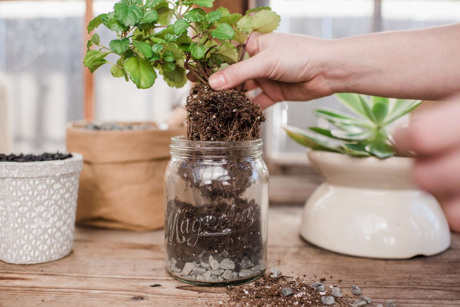 How To Use A Planter Without Drainage Holes Storables