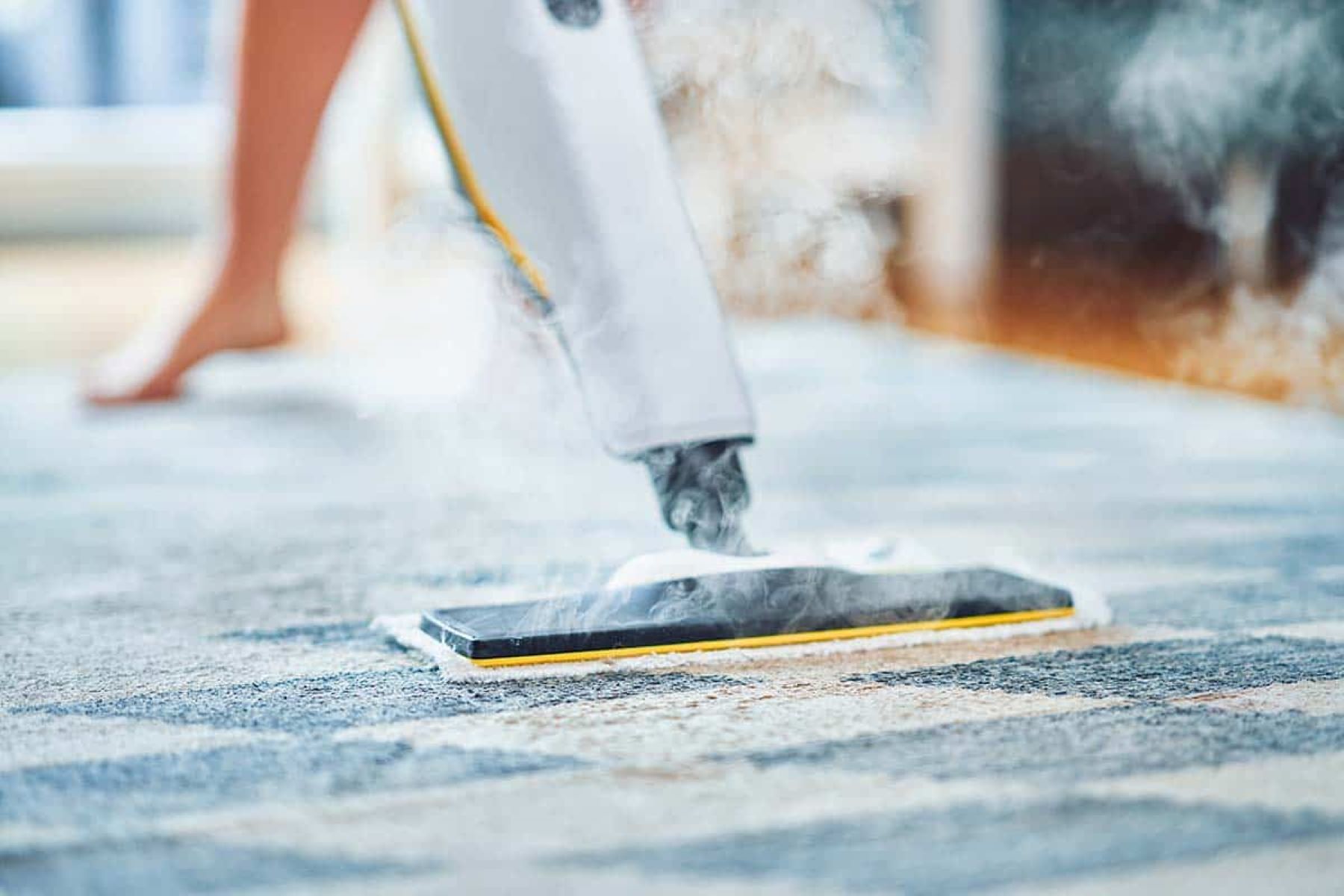 How To Clean A Soiled Carpet Storables