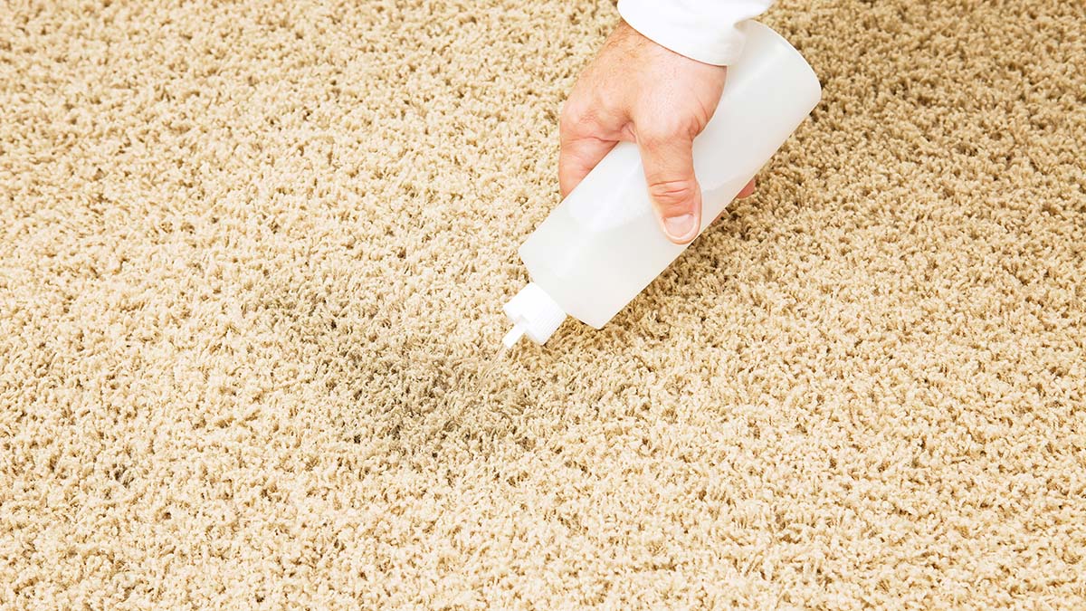 How To Remove Water Stains From Carpet Storables