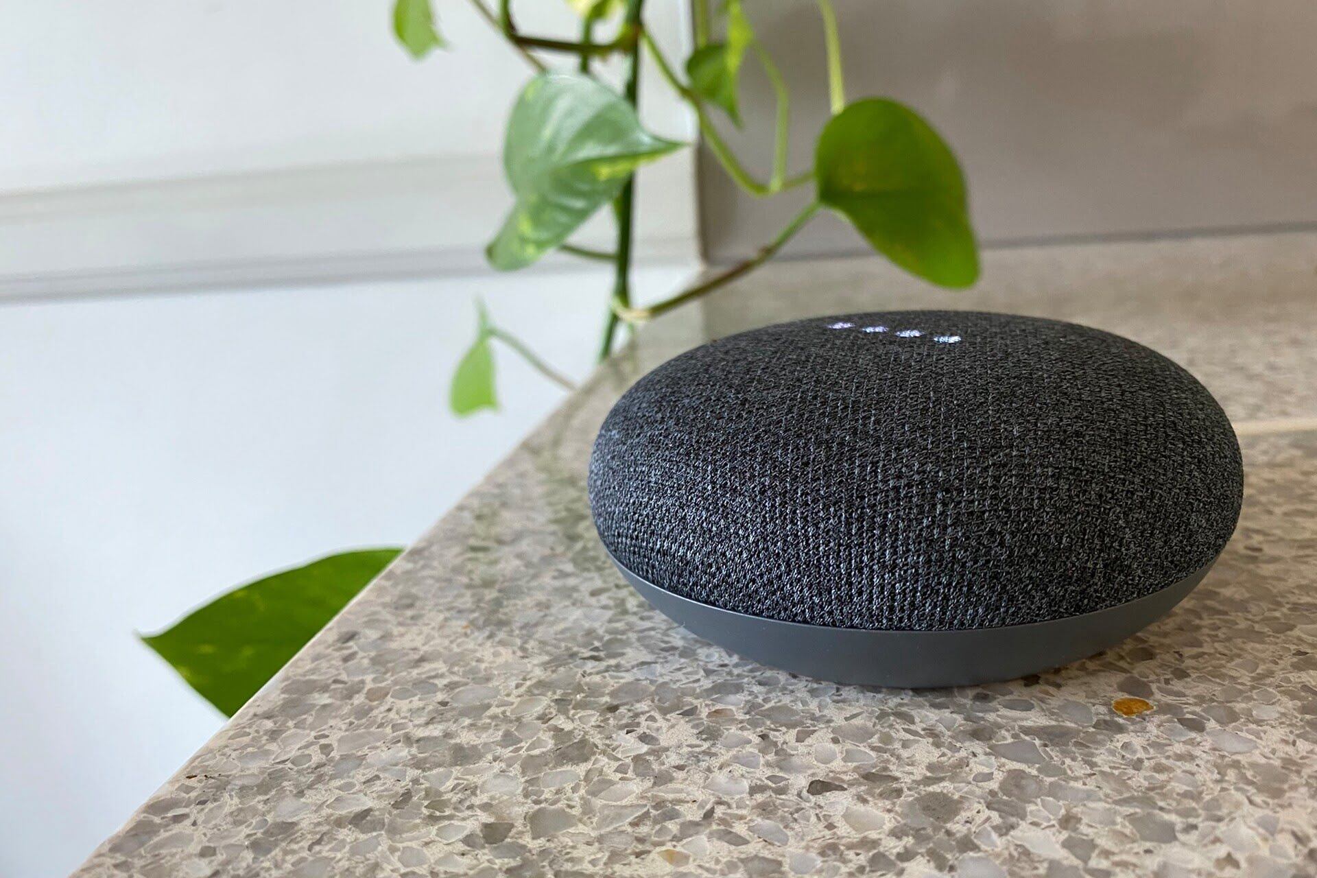 How To Set Up Google Home Mini Storables