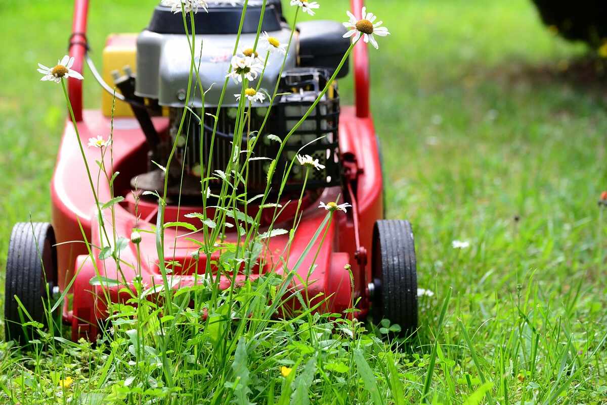 How Long To Wait To Cut Your Grass After Fertilizing Storables