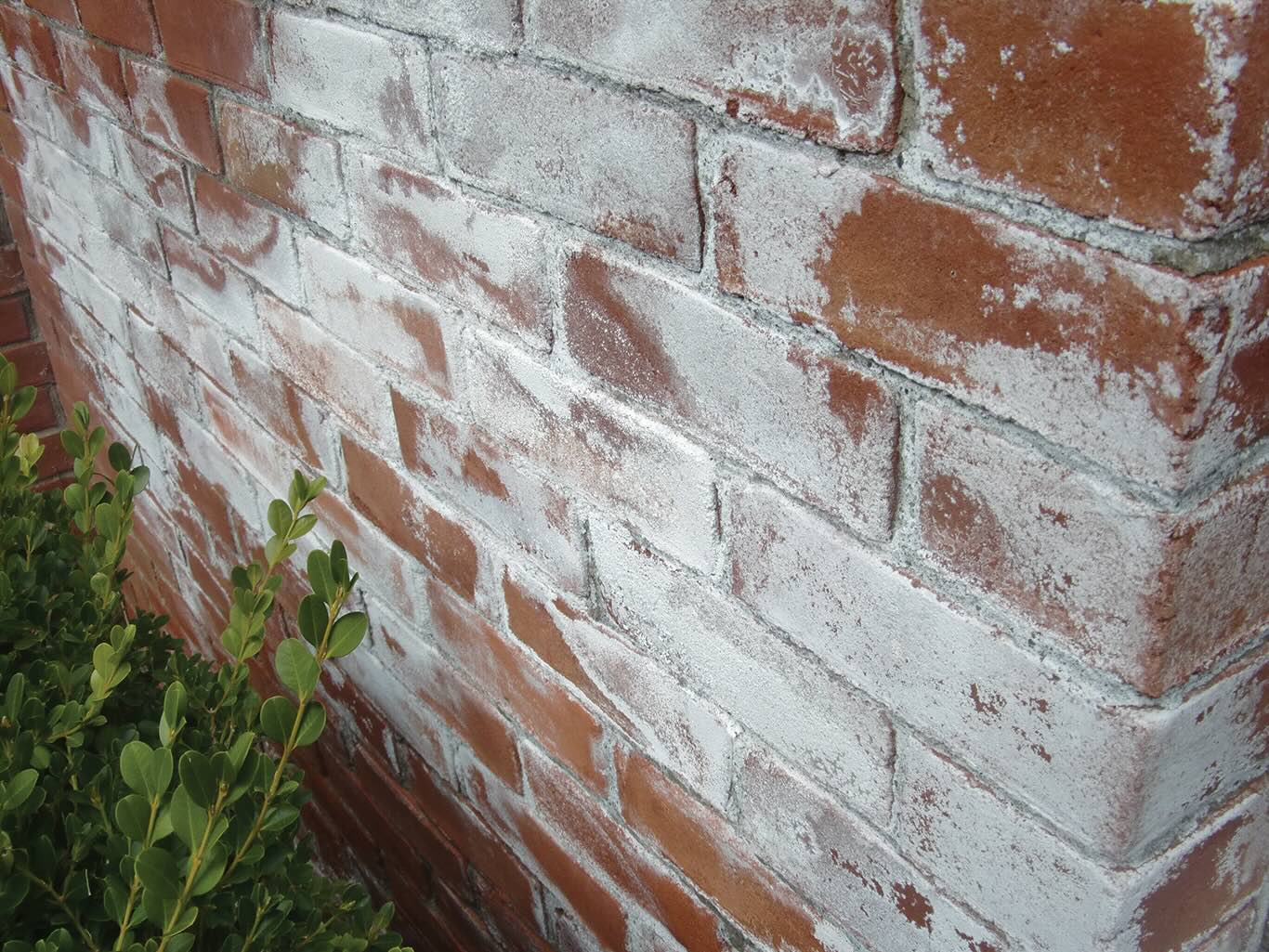 How To Clean Efflorescence Off Brick Storables