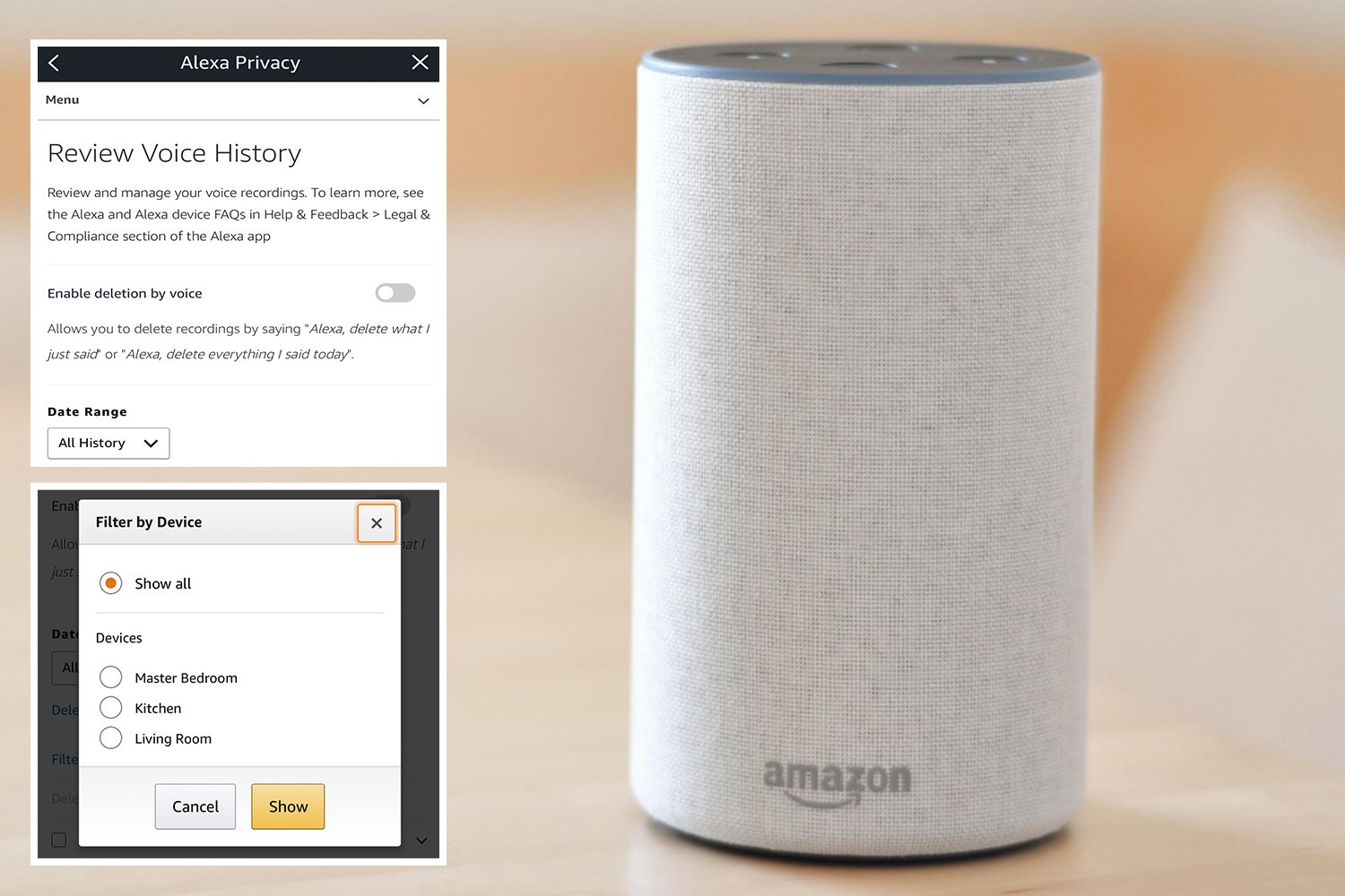 How To Delete Alexa Recordings Storables