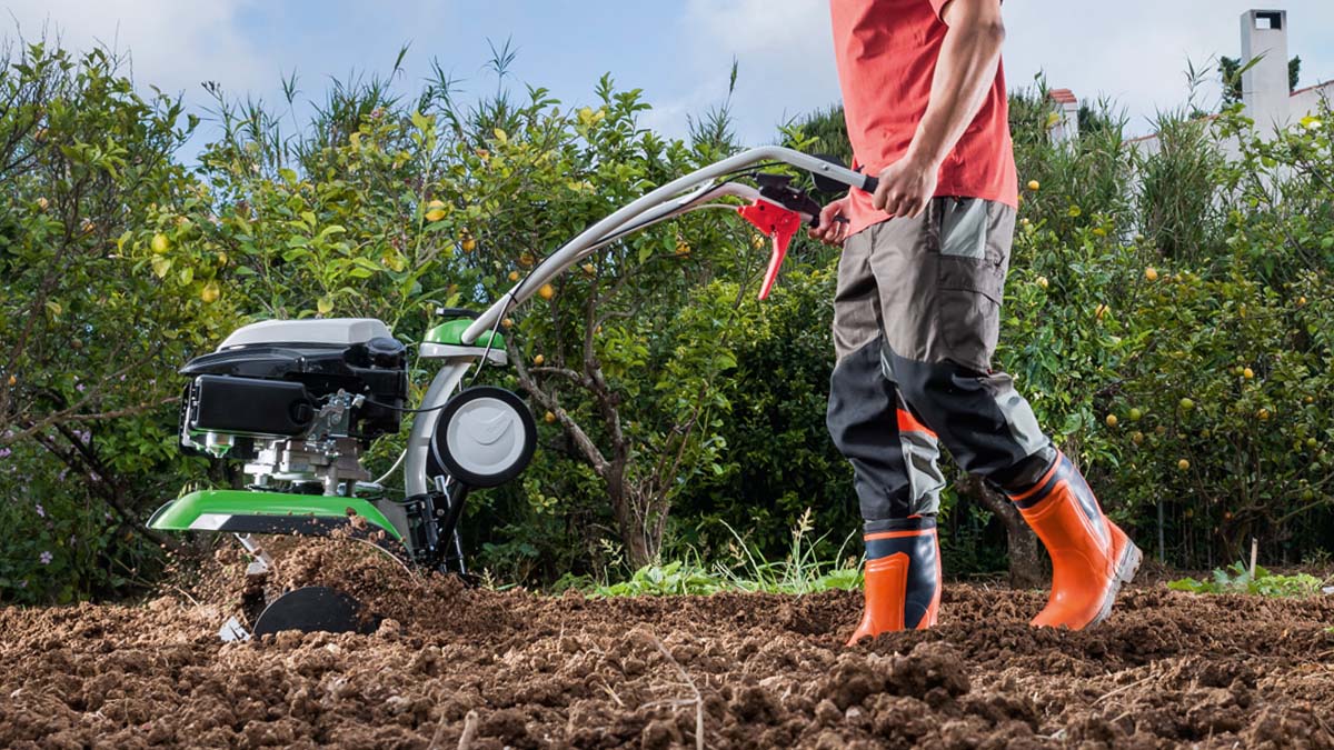 How To Get Ground Ready For Grass Seed Storables
