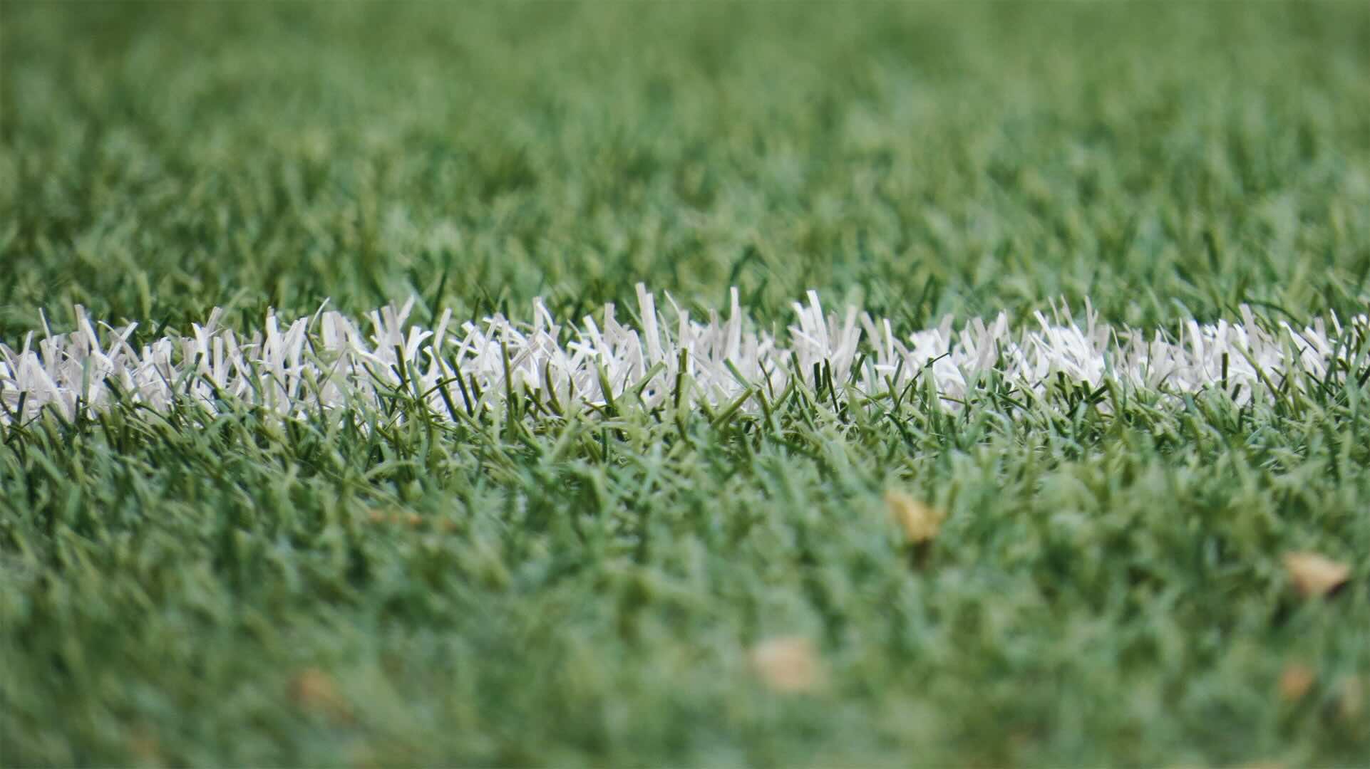 How To Get Paint Off Grass Storables