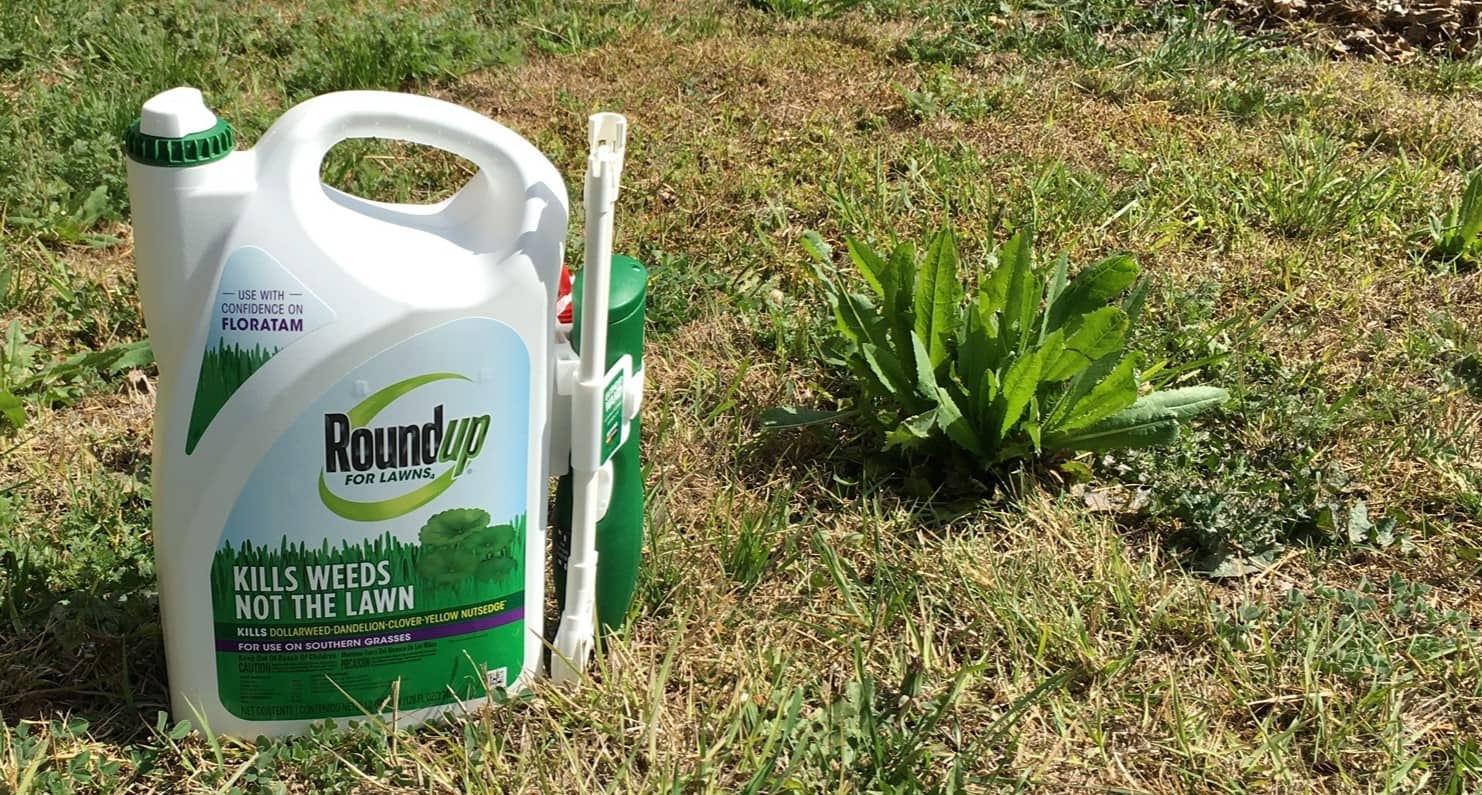 What Kills Grass And Weeds But Not Flowers Storables