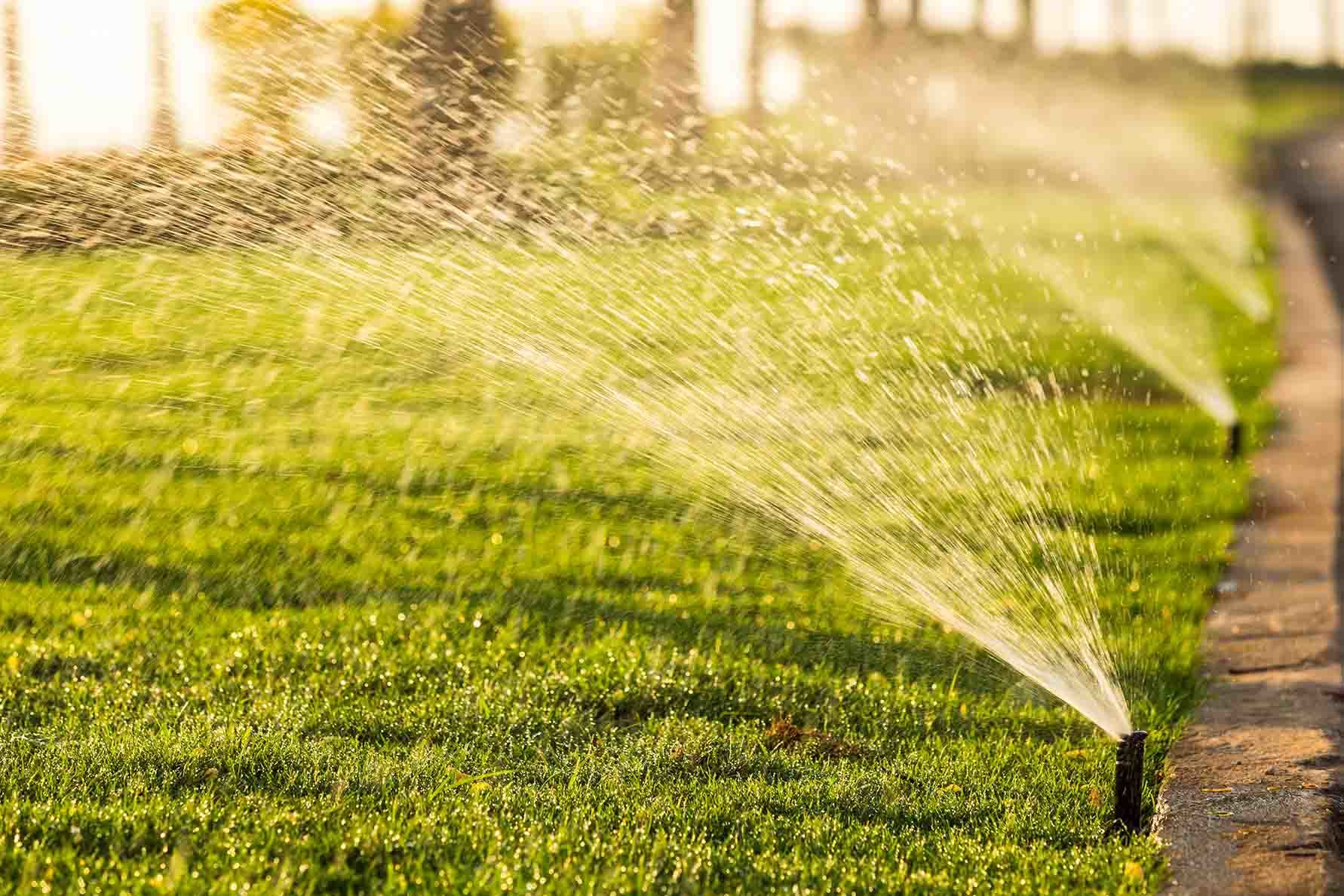 When To Stop Watering Grass Storables