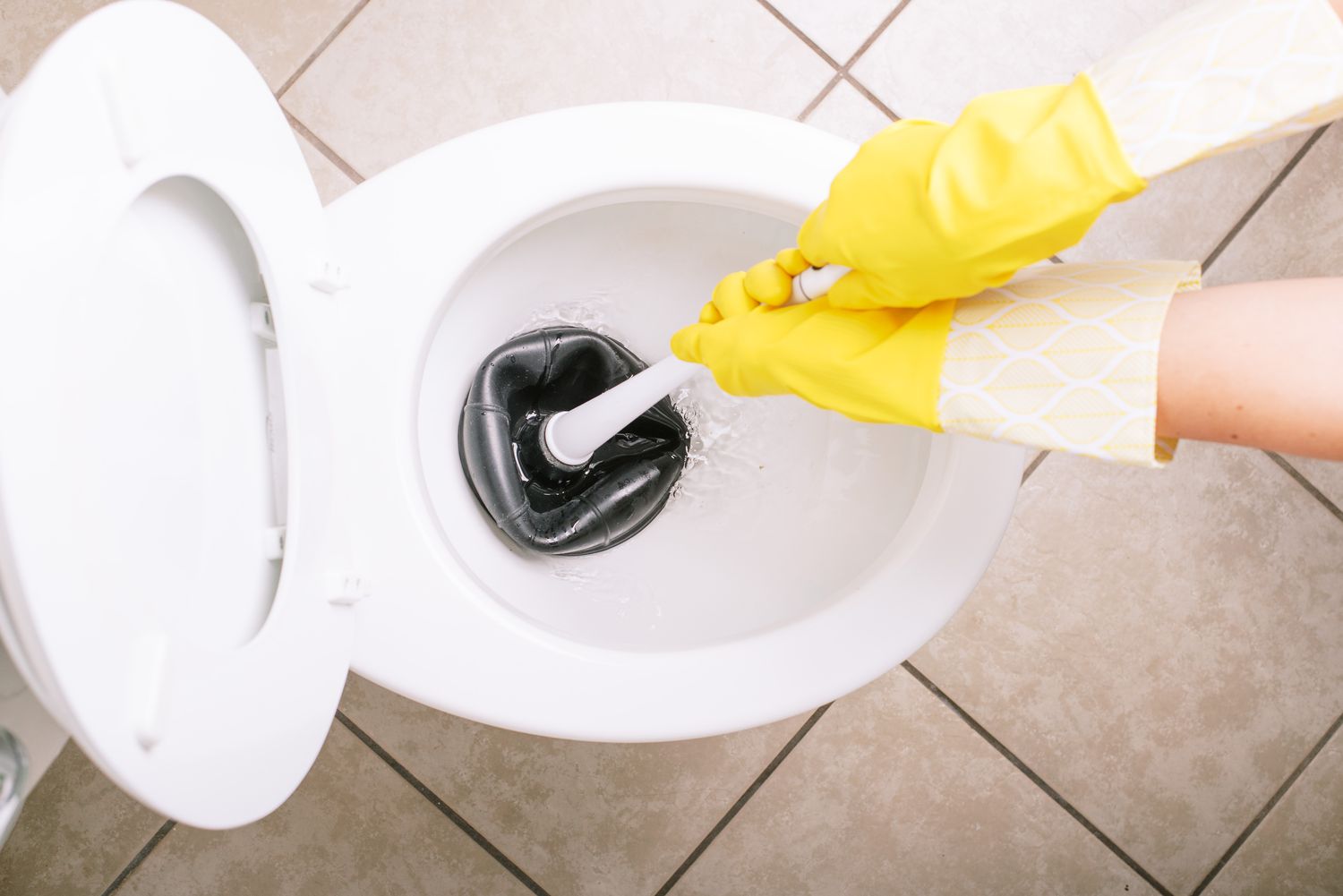 How To Empty Water From Toilet Bowl To Clean at Shelia Spivey blog