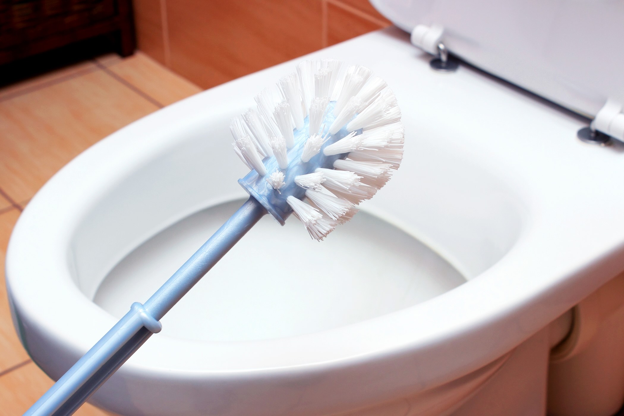 How To Stop A Toilet Brush Going Brown Storables
