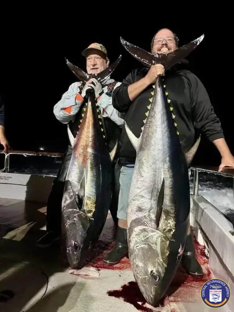 Searcher Sportfishing Long Range Fish Report Fish Report 976TUNA
