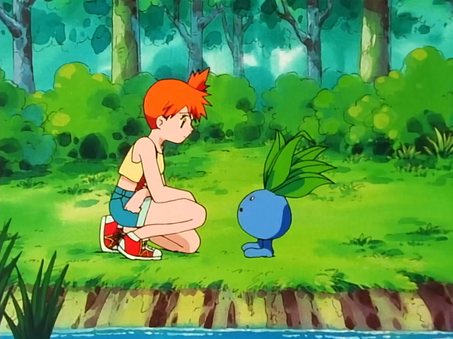 [AnimeRG] Pokémon 0010 Bulbasaur and the Hidden Village [1080p