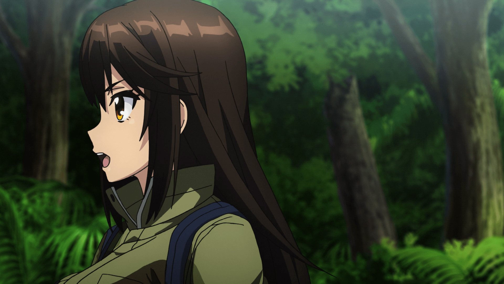 [ok] The Island of Giant Insects OVA [MultiSubs] [1080p].mkv Anime