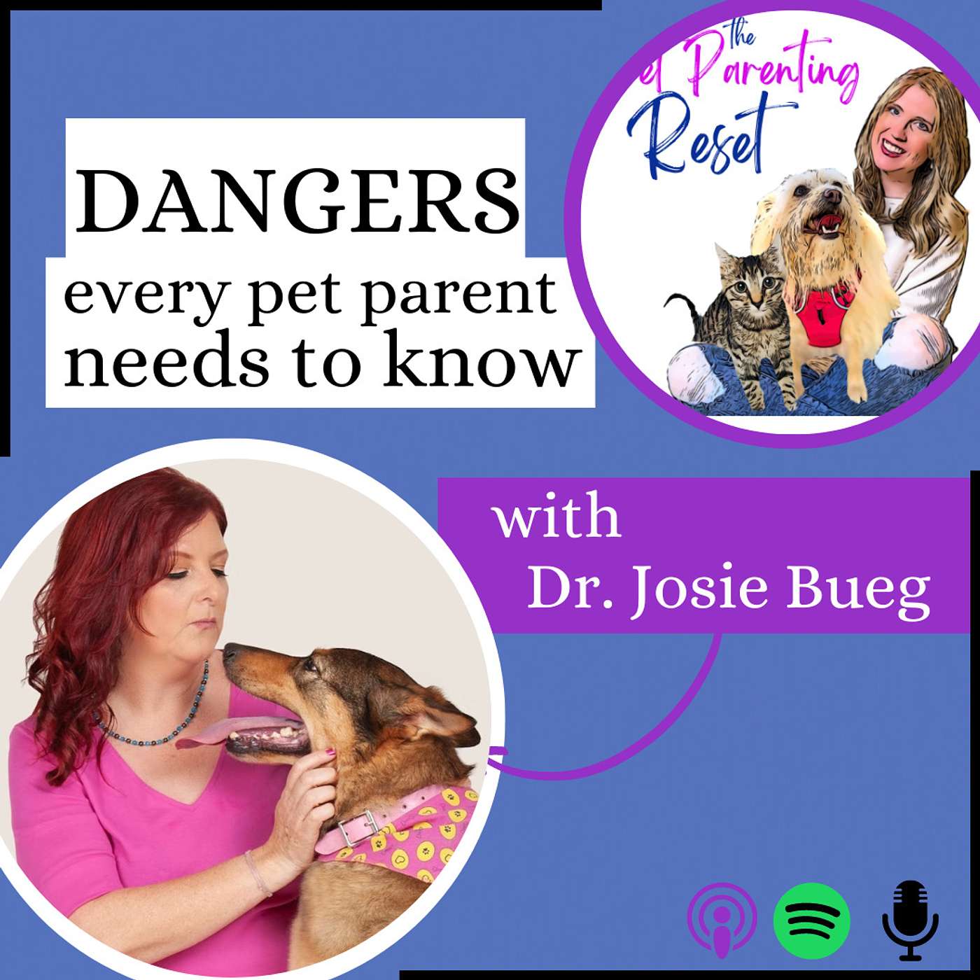 72. DANGERS Every Pet Parent Needs To Know(04)