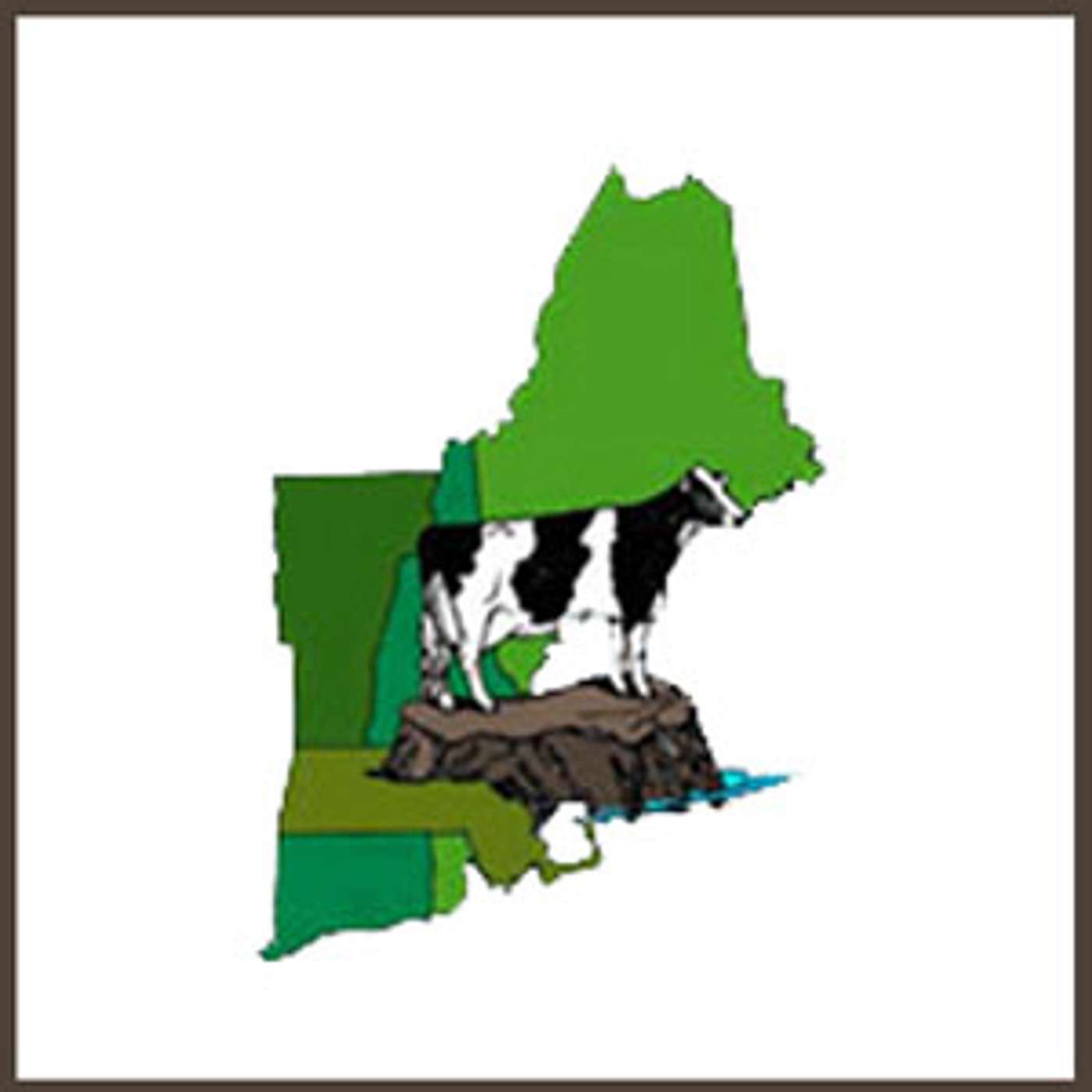 New England Holstein Podcast Betsy Bullard talks with Greg Norris