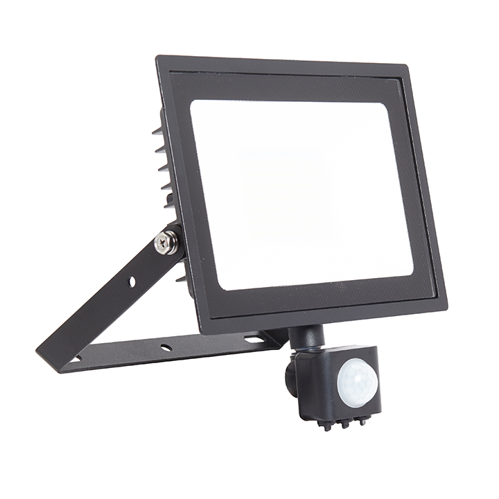 Eden LED floodlight 50W PIR Cool White