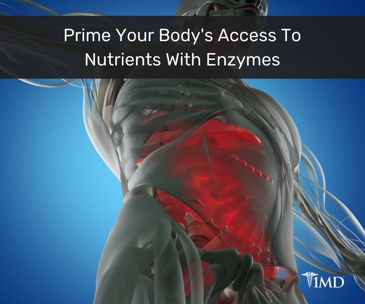 From Mouth to Colon The Journey of Your Digestive Enzymes 1MD Nutrition™