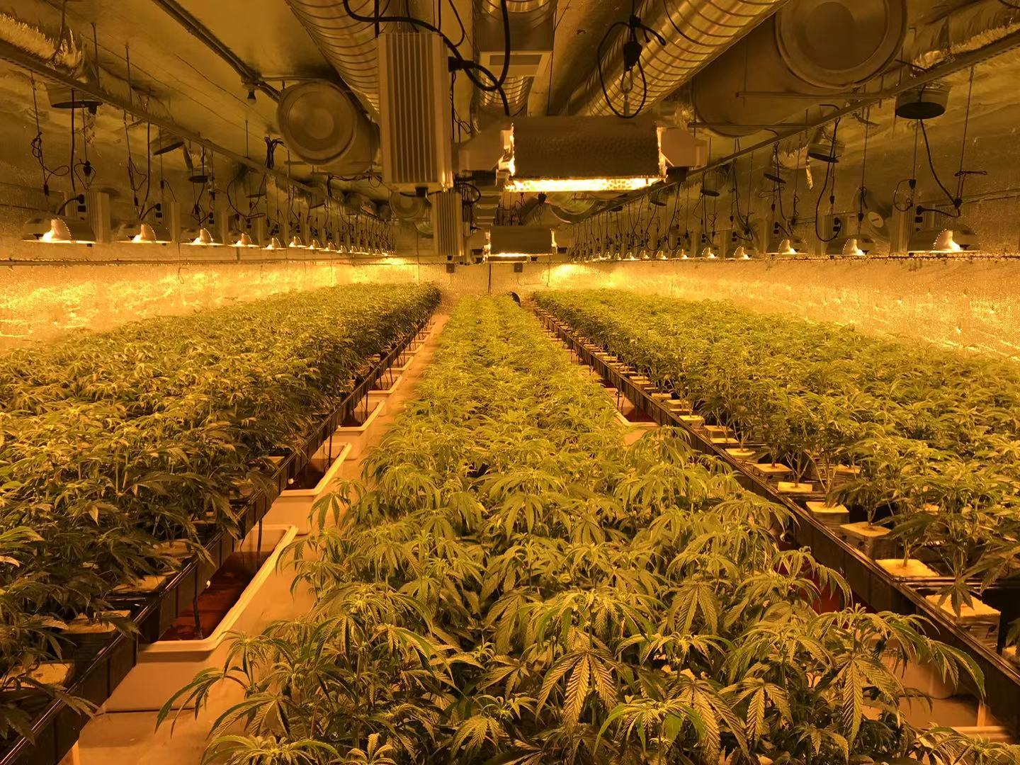 The Pot Shop is Now Offering Shipping Nationwide