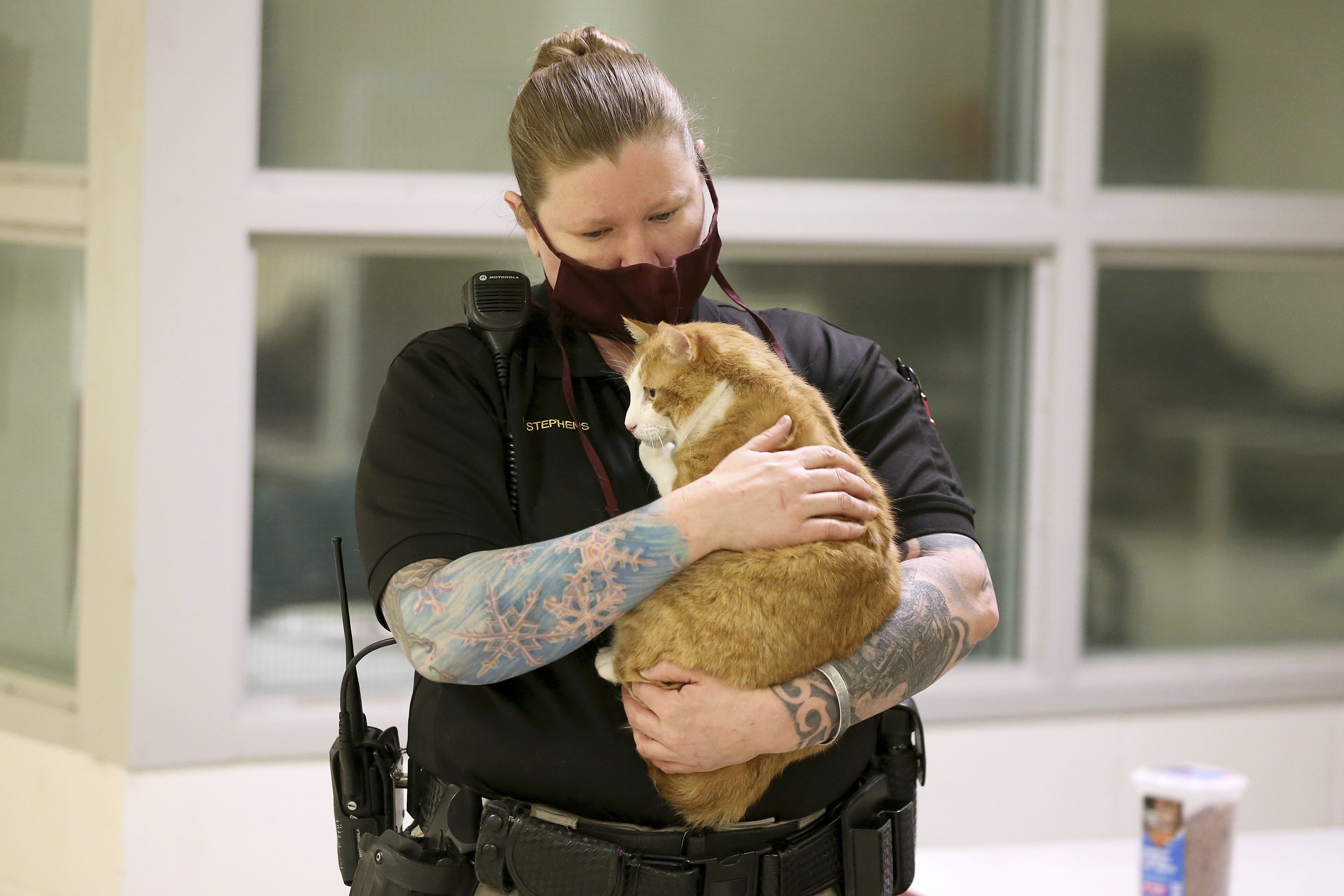 Meow Mates Program brings rescue cats to Wyoming jail