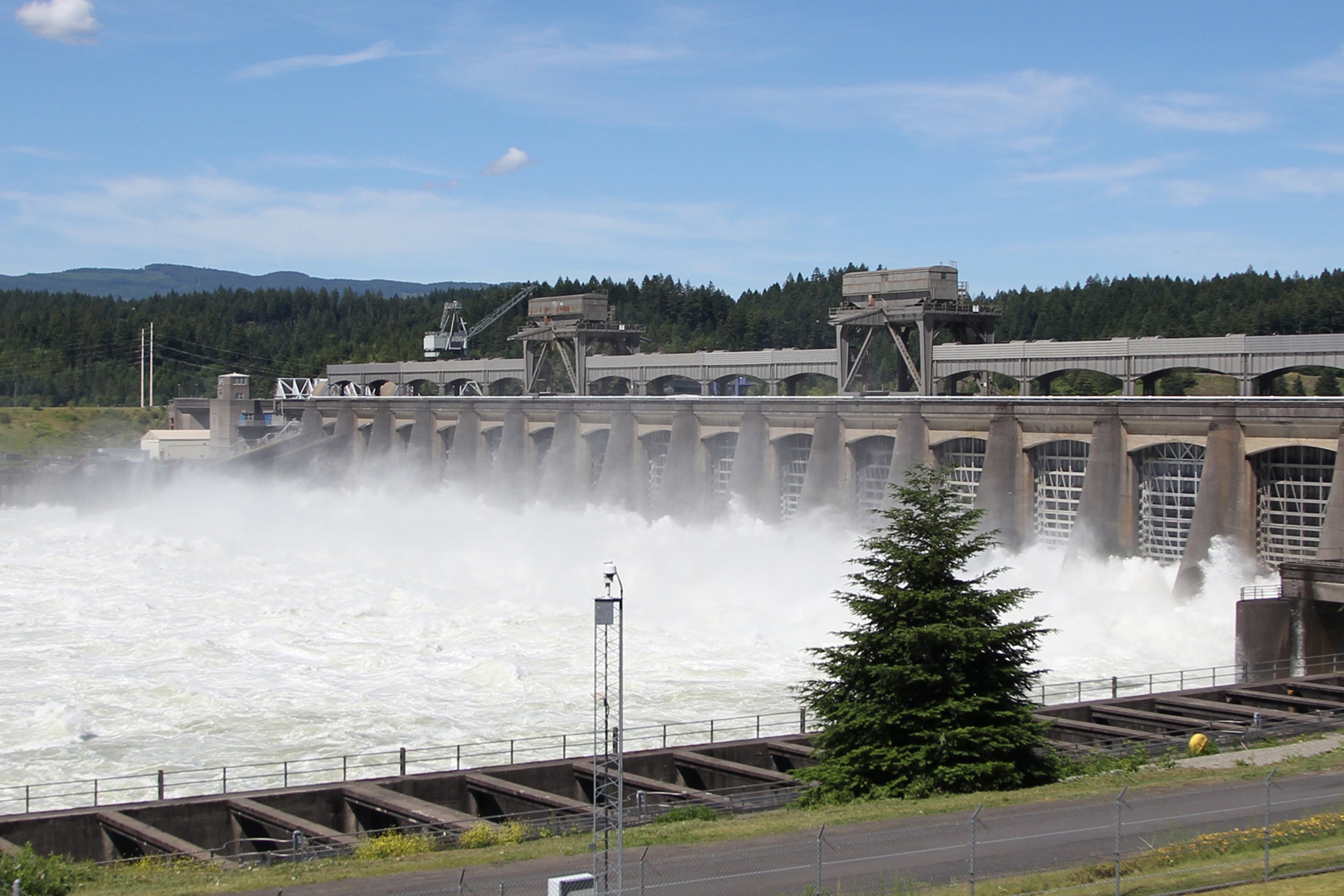 Pacific Northwest tribes Remove Columbia River dams