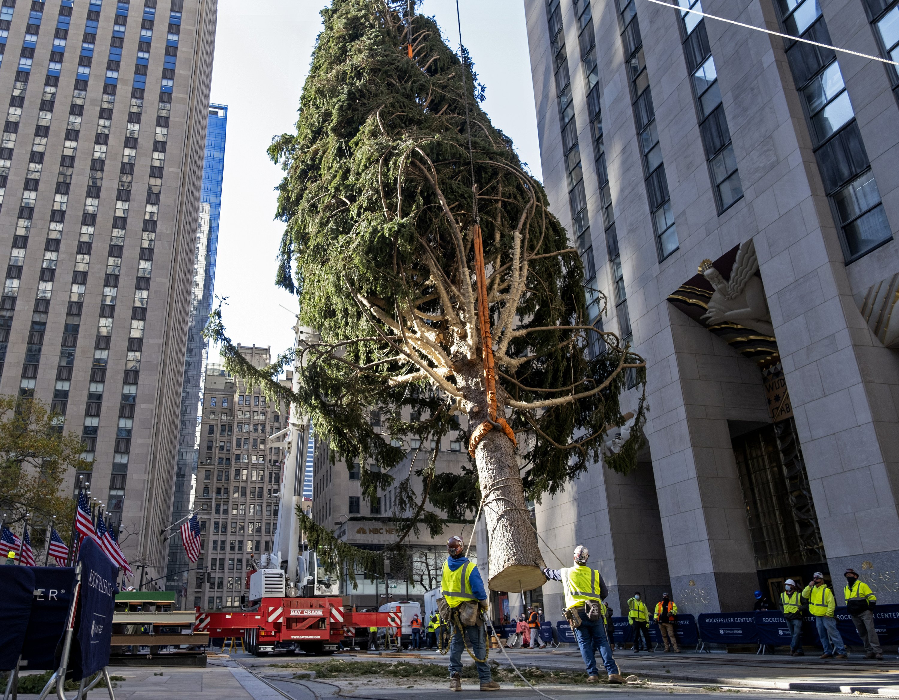 Rockefeller Center Christmas tree goes up; lighting Dec. 2 The