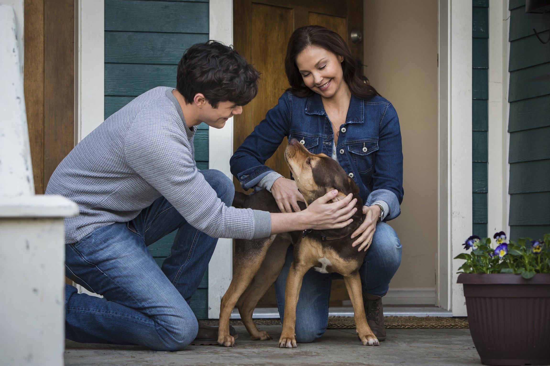Review 'A Dog's Way Home' is saccharine and sentimental