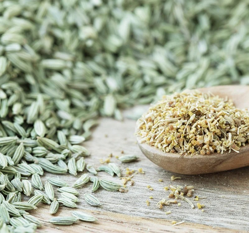 Fennel Seeds for Breast Enhancement Benefits and How to Use?