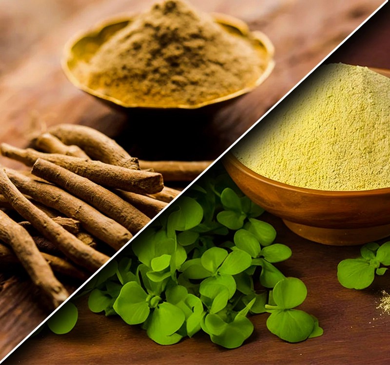 Brahmi vs Ashwagandha Comparing Benefits and How to Take Them Together