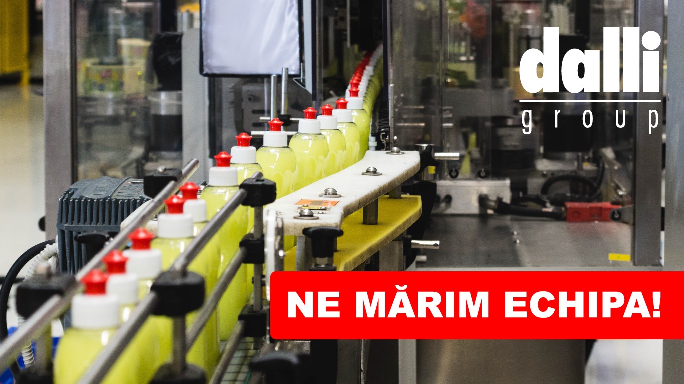 Dalli Production Romania Srl jdn