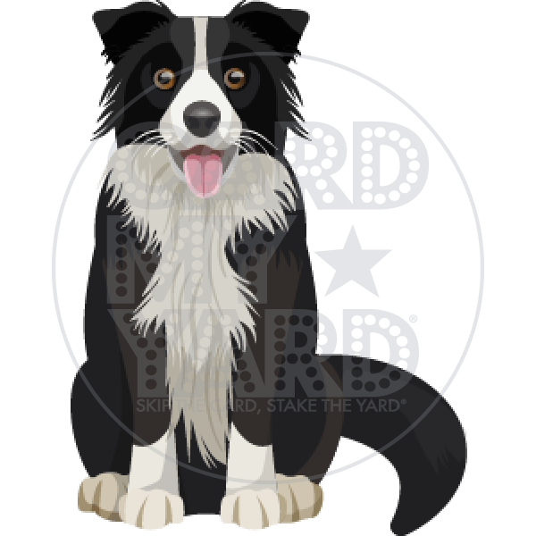 Card My Yard Omaha, yard greetings for any occasion