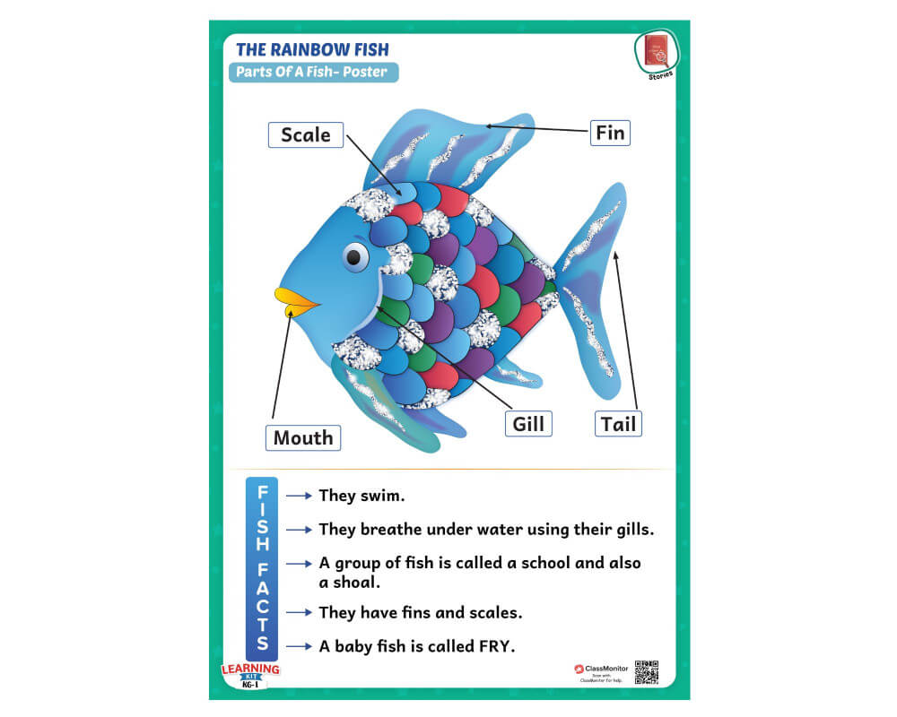 Stories Activity The Rainbow Fish Parts Of A Fish ClassMonitor