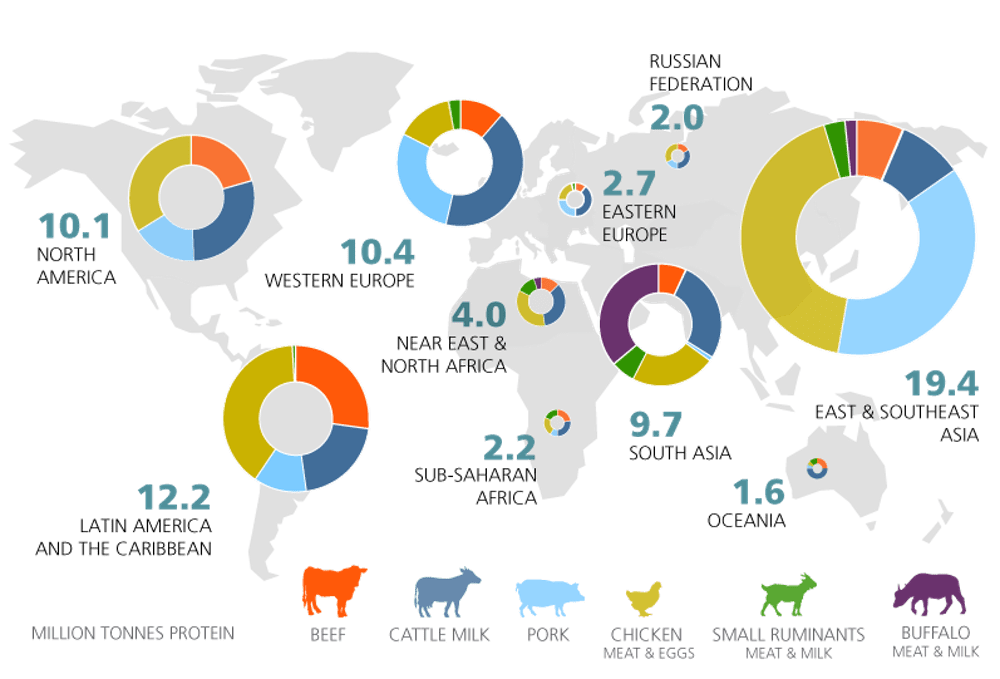 Yes, eating meat affects the environment, but cows are not killing the