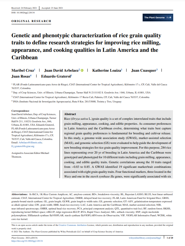 and phenotypic characterization of rice grain quality traits to