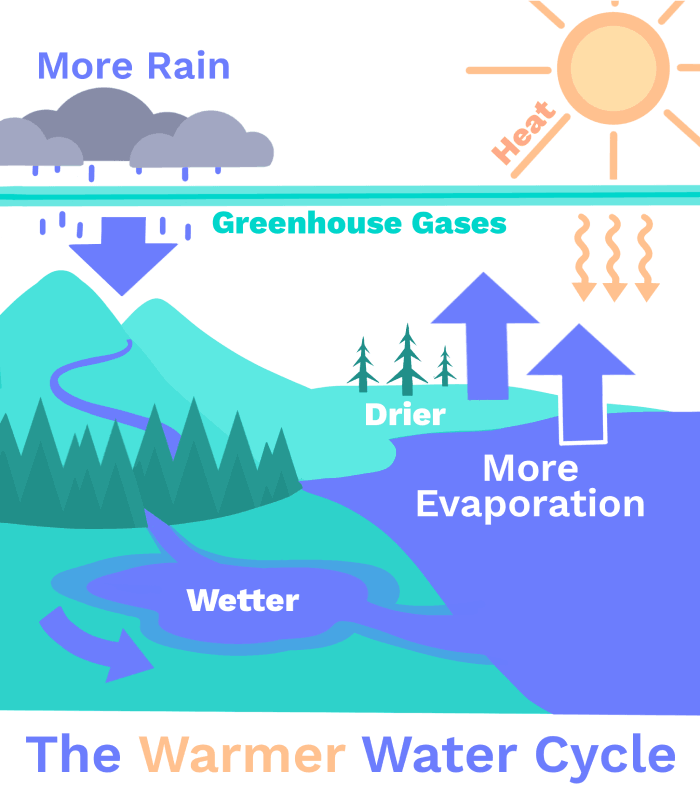 Evaporation Water Cycle