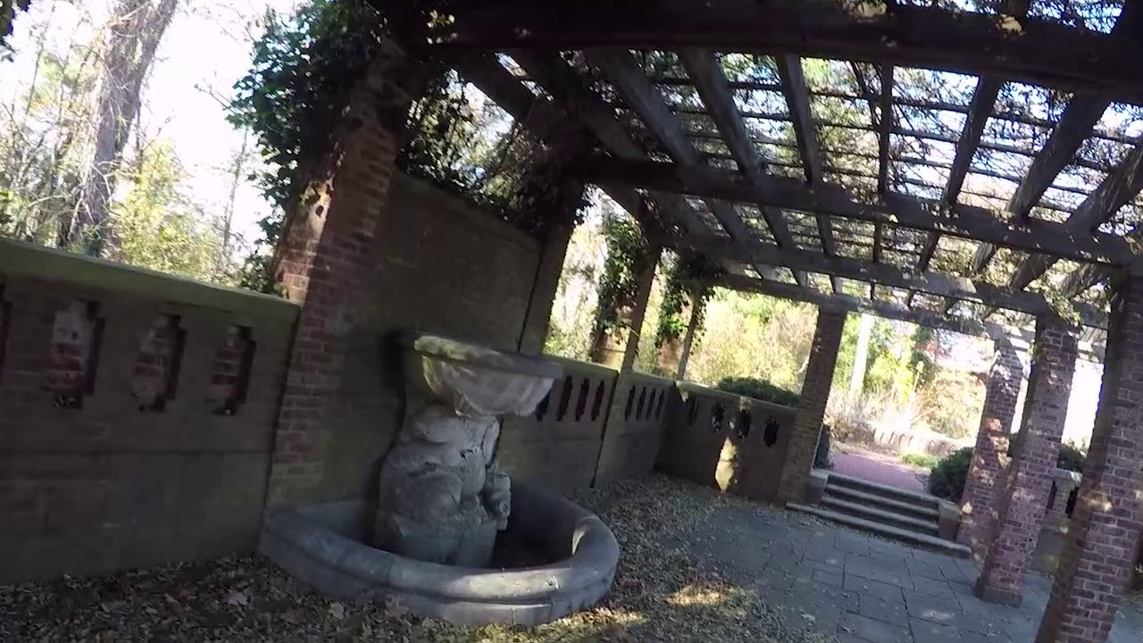 Welwyn Preserve Clio