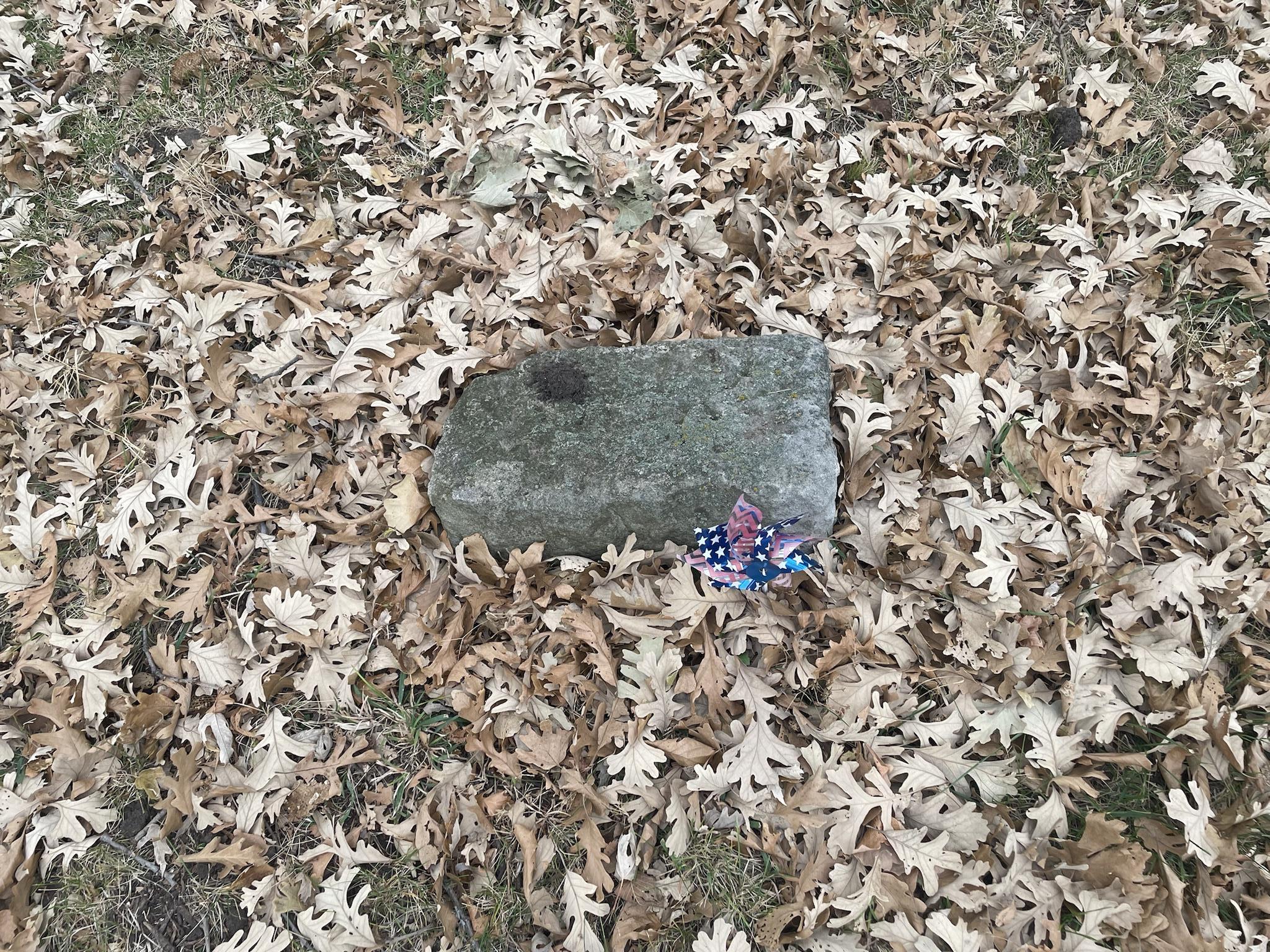 Potter's Field Cemetery Clio