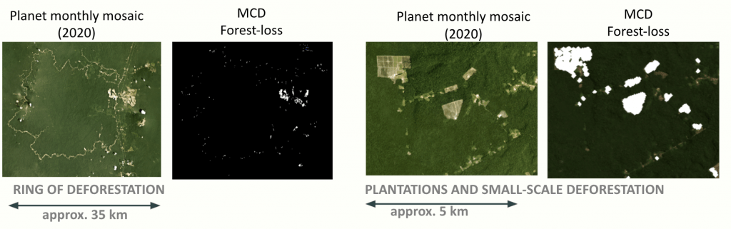 Nicfi Tropical Forest Basemaps Now Available In Google Earth Engine Mobile Legends