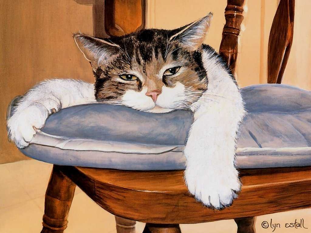 images.cv Download Egyptian cat image classifcation