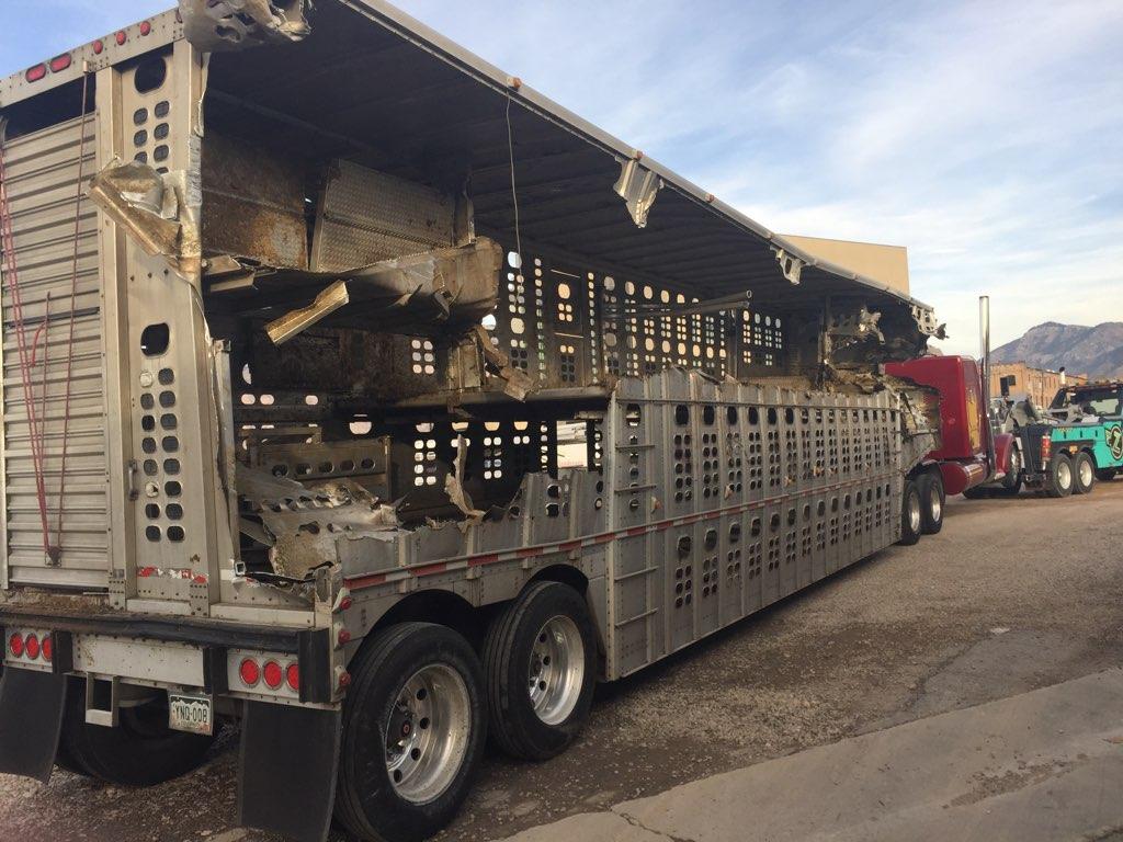 Cattle truck crashes on overpass, dumping animals to interstate below