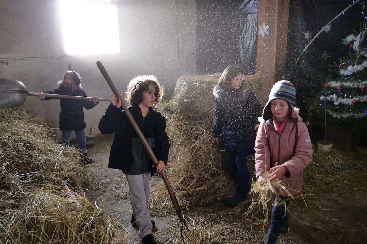 La Bergerie nationale de Rambouillet, pédagogique et écologique