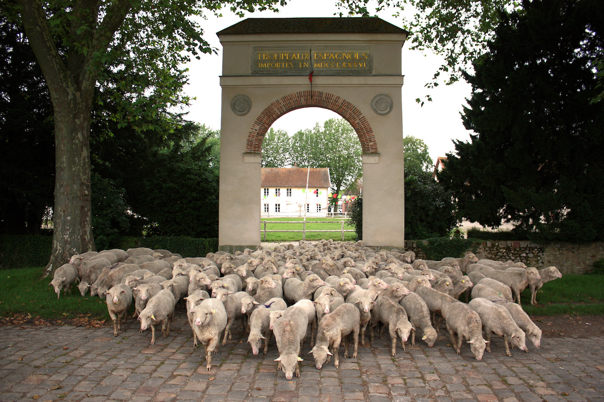 La Bergerie nationale de Rambouillet, pédagogique et écologique